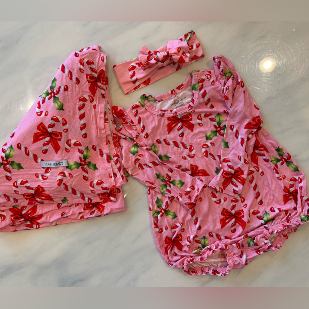 Baby Girl Posh Peanut matching holiday set EUC